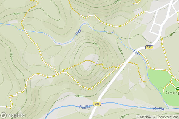 static Mapbox map
