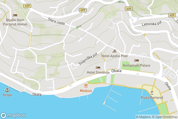 static Mapbox map