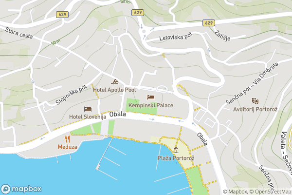 static Mapbox map