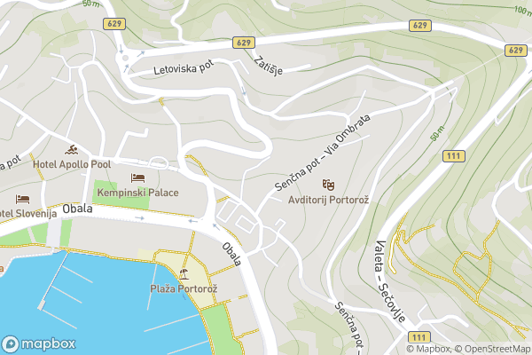 static Mapbox map