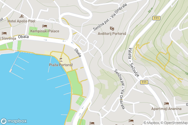 static Mapbox map