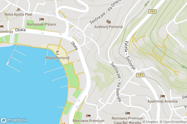 static Mapbox map