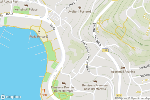 static Mapbox map