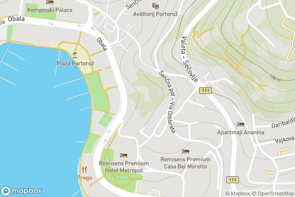static Mapbox map