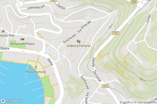 static Mapbox map