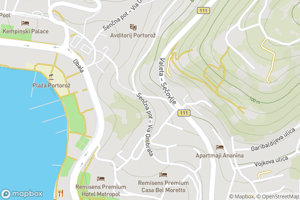 static Mapbox map