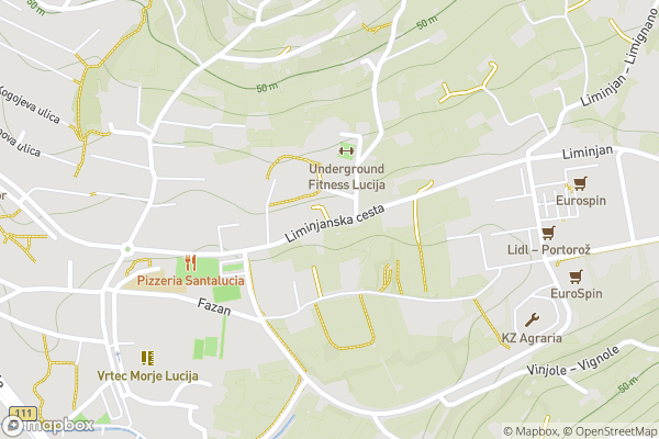 static Mapbox map