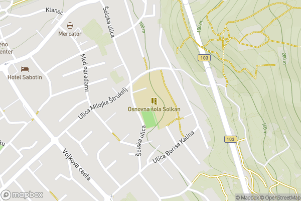 static Mapbox map