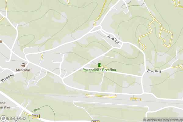 static Mapbox map