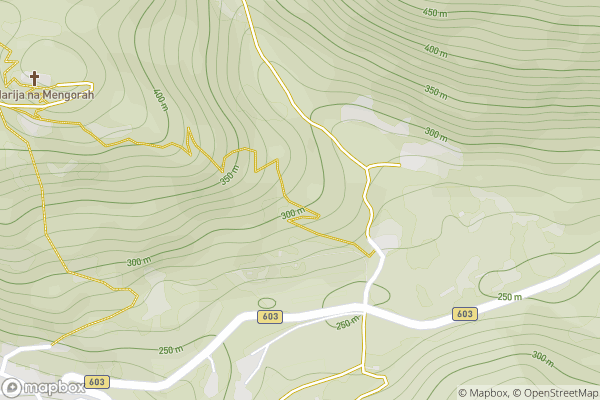 static Mapbox map