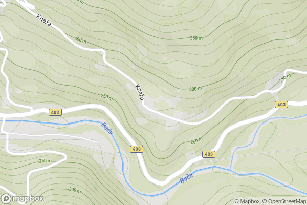 static Mapbox map