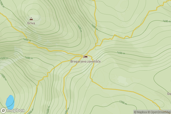 static Mapbox map