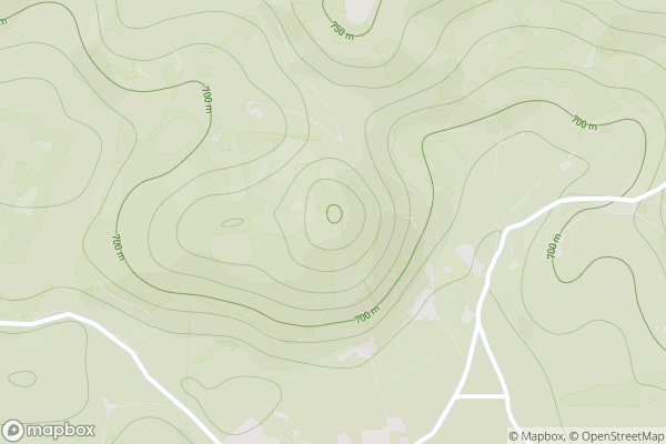 static Mapbox map
