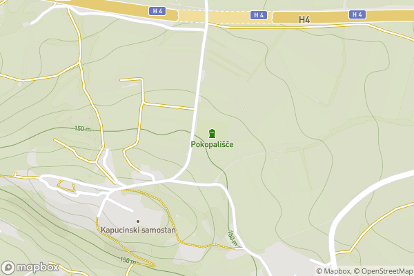static Mapbox map