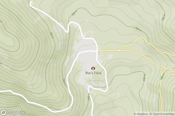 static Mapbox map