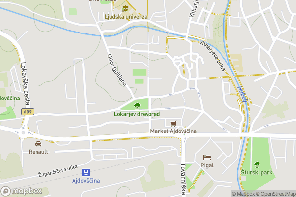 static Mapbox map