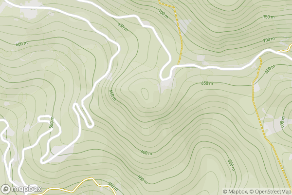static Mapbox map