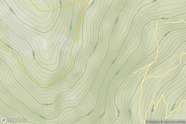 static Mapbox map