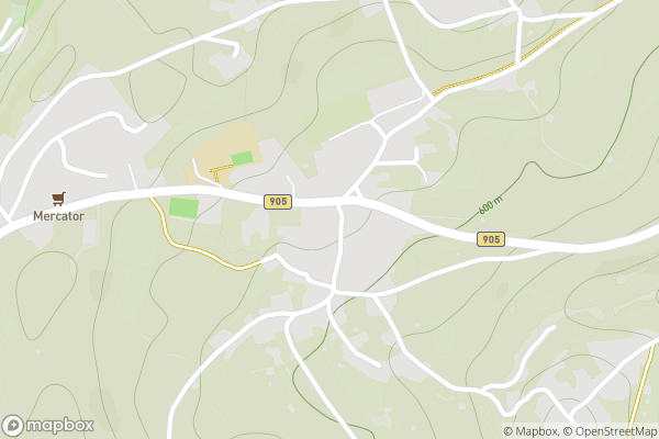 static Mapbox map