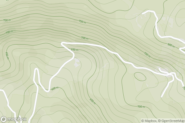 static Mapbox map