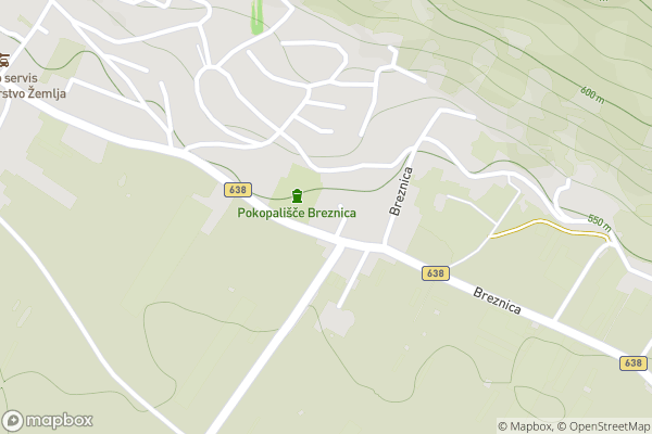 static Mapbox map