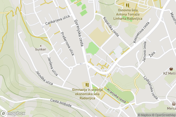 static Mapbox map