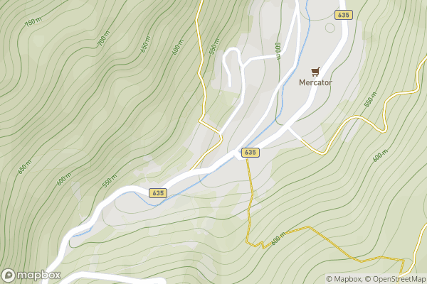 static Mapbox map