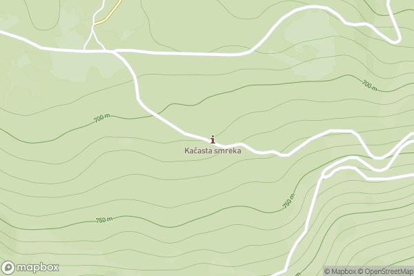 static Mapbox map