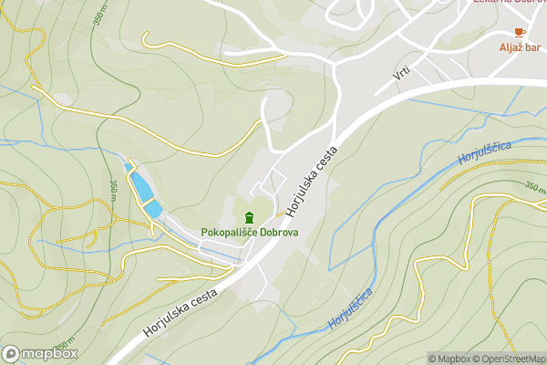 static Mapbox map