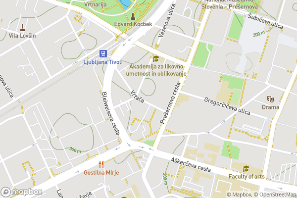 static Mapbox map