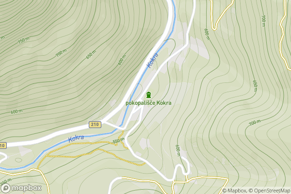static Mapbox map
