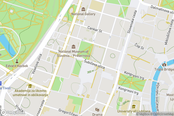 static Mapbox map