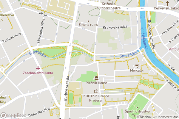 static Mapbox map
