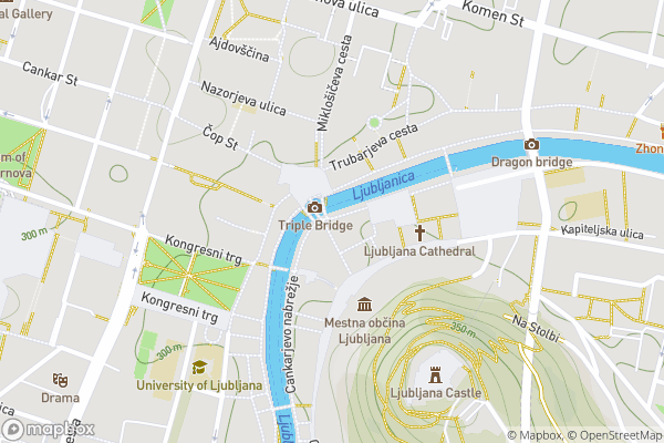 static Mapbox map