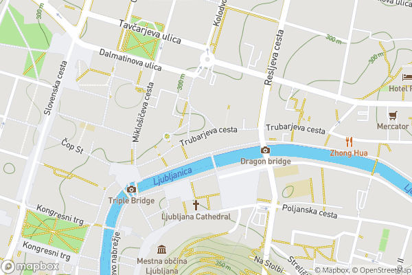 static Mapbox map
