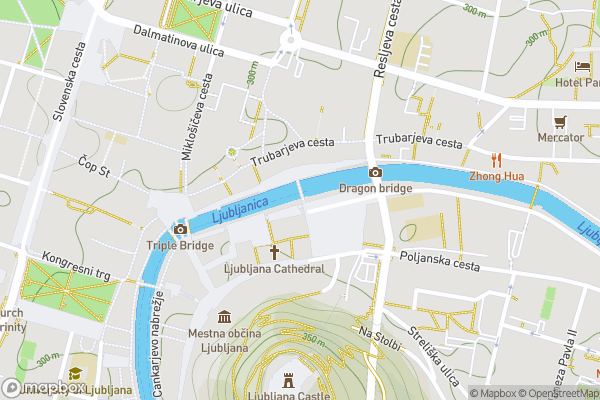 static Mapbox map
