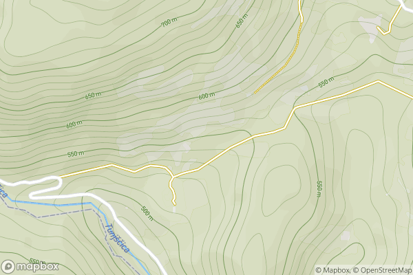 static Mapbox map