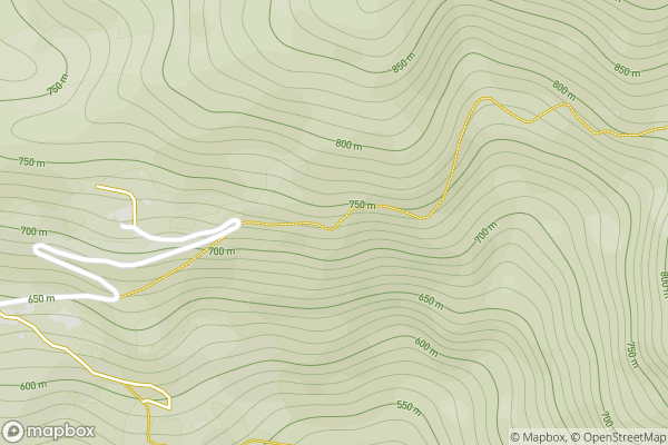 static Mapbox map
