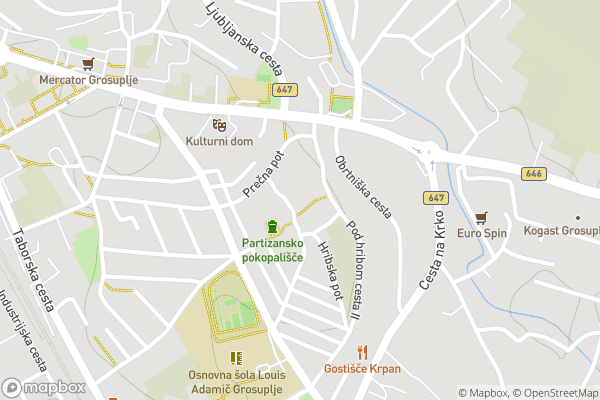 static Mapbox map