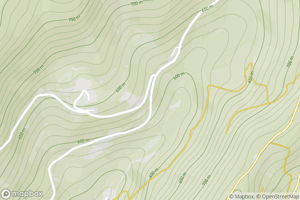 static Mapbox map