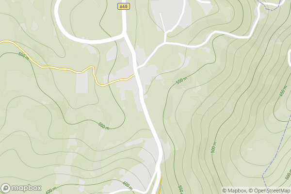static Mapbox map