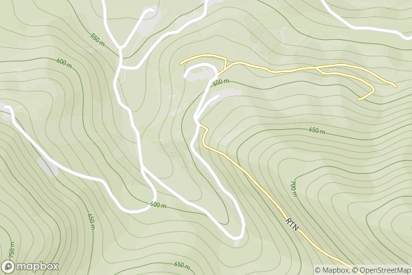 static Mapbox map