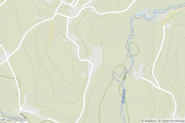 static Mapbox map
