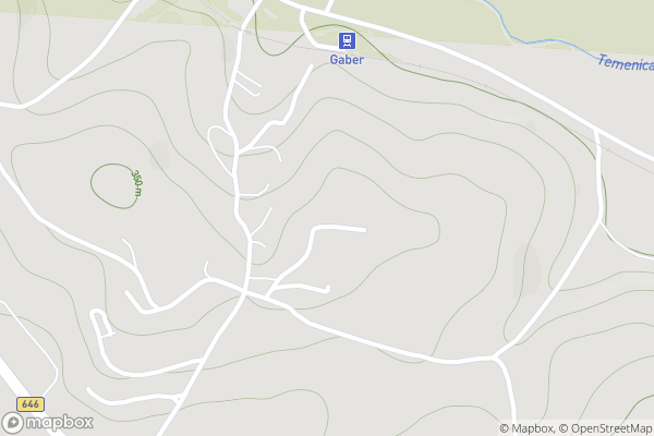 static Mapbox map
