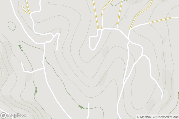 static Mapbox map