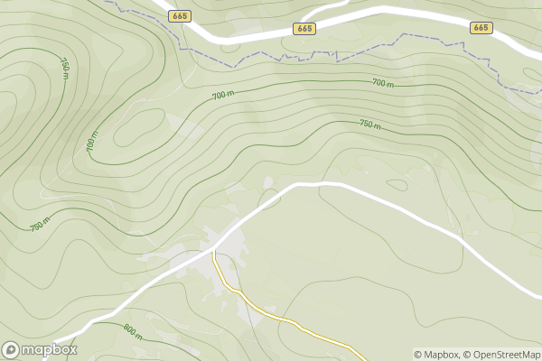 static Mapbox map