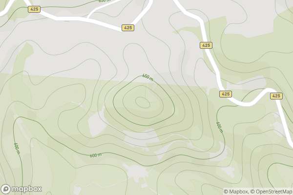 static Mapbox map