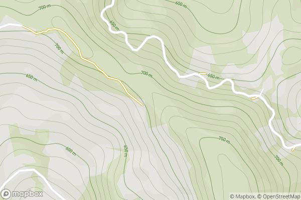 static Mapbox map