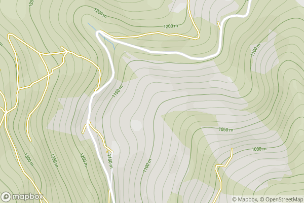 static Mapbox map