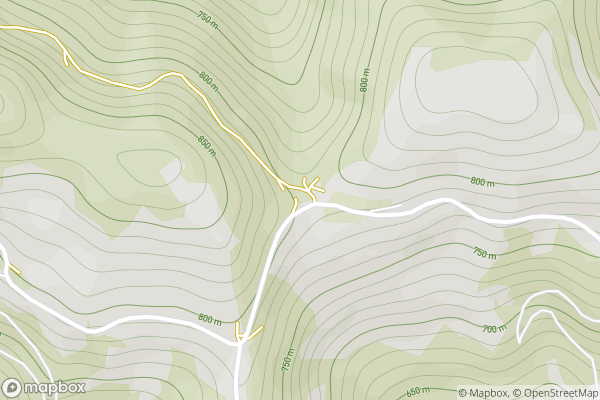 static Mapbox map